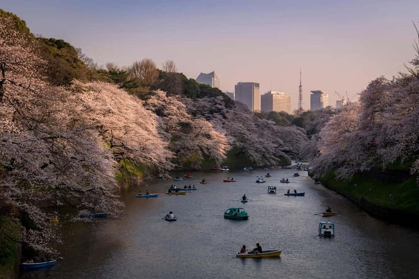 Tokyo: Photography Masterclass - Private Photo Lesson - Key Things I’d Fixate On Before Booking