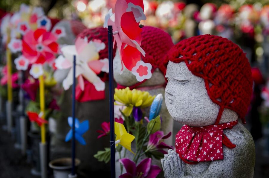Tokyo: Photography Masterclass - Private Photo Lesson - Where It Starts: Hachiko Memorial, Coffee Check, and Quick Camera Setup