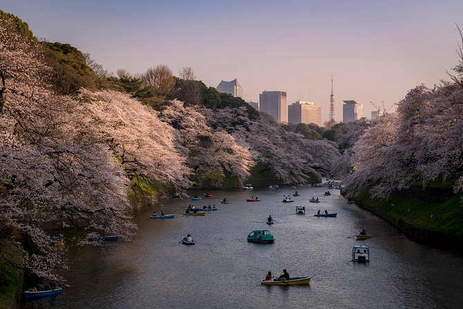 Tokyo Photography Masterclass - Private Photography Lesson - A 3-hour masterclass that actually changes your pictures