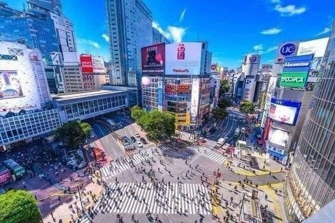 Tokyo Pre Japan Planning Kit Itineraries, Food & Survival - Day 4: Odaiba futuristic views, Shinjuku Gyoen calm, and night in Shinjuku