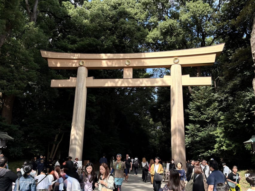 Tokyo: Private 1-Day Sightseeing Tour by Car with Guide - Why This Private Car Tour Feels Like Tokyo With Fewer Headaches