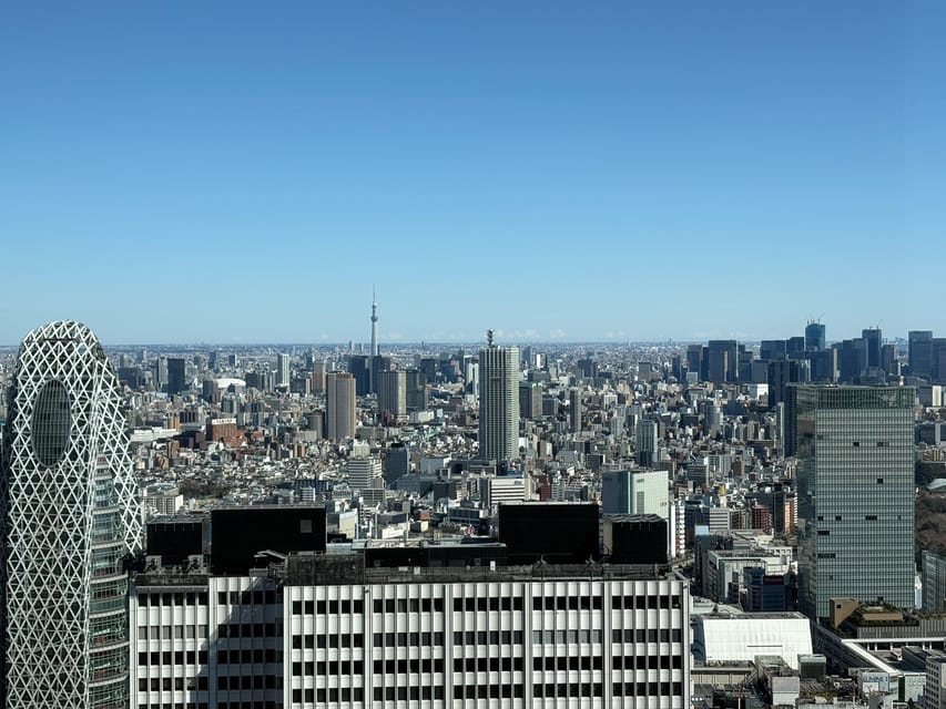 Tokyo: Private 1-Day Sightseeing Tour by Car with Guide - The Private Luxury Car Advantage: More Stops, Less Walking