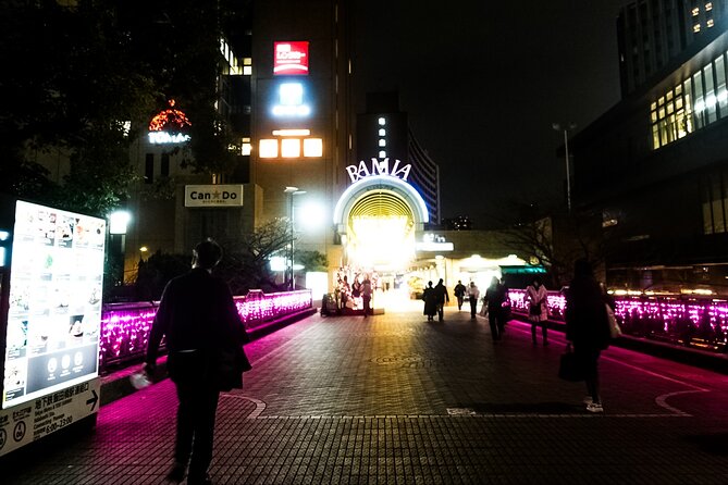 Tokyo Private Art Tour in Kagurazaka Shinjuku with Licensed Guide - Akagi Shrine’s Modern Look: Not Your Usual Shrine Stop