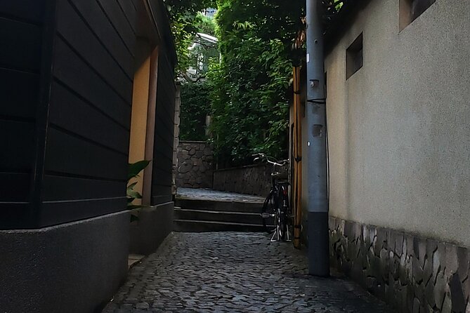 Tokyo Private Art Tour in Kagurazaka Shinjuku with Licensed Guide - Akomeya Tokyo and Kengo Kuma: Architecture That Stops You Cold
