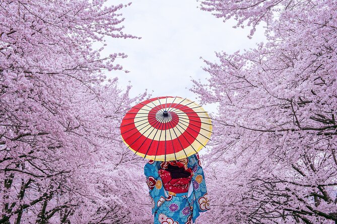 Tokyo Private Cherry Blossom Tour with a Local – Picnic Included - What you eat and drink during the hanami picnic