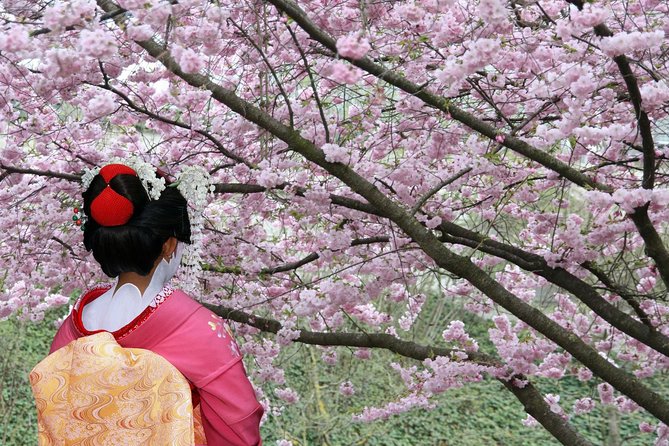 Tokyo Private Cherry Blossom Tour with a Local – Picnic Included - Price and logistics, including transit and tickets