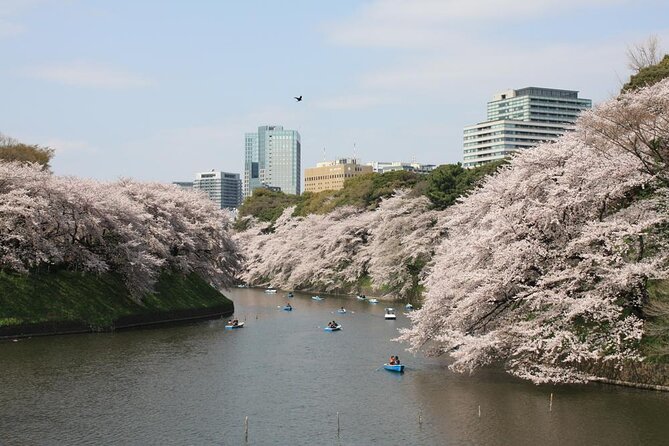 Tokyo Private Cherry Blossom Tour with a Local – Picnic Included - Matsuya Asakusa Depachika picnic stop