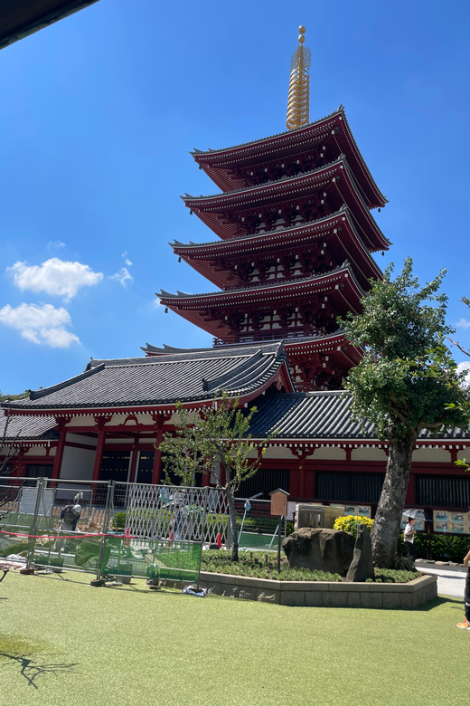 Tokyo: Private City Highlights Tour - Why This Private Tokyo Day Feels Less Like a Checklist