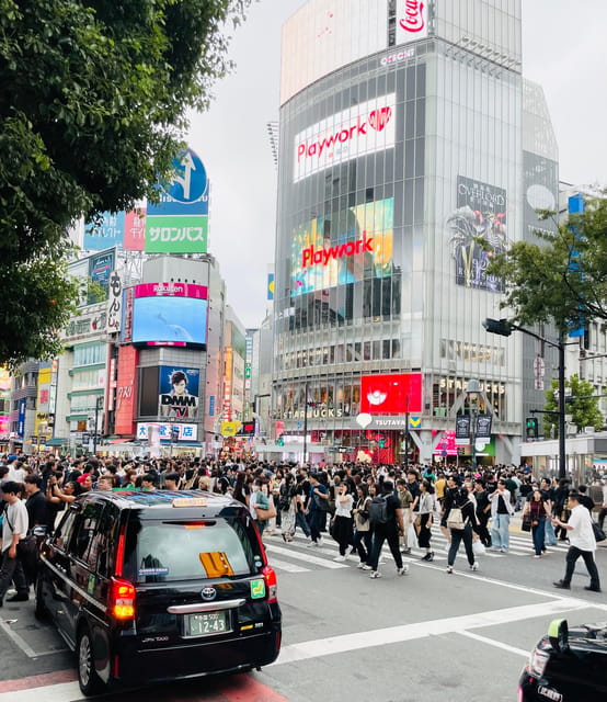 Tokyo: Private City Highlights Tour - Meiji Shrine: A Forest Reset From City Noise