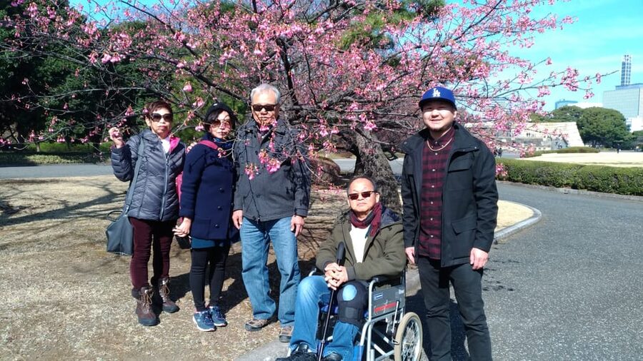 Tokyo: Private City Highlights Tour with Local Guide - Tsukiji Fish Market and lunch strategy you can actually use