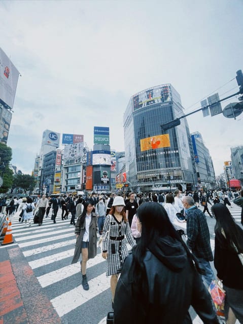 Tokyo: Private Customizable City Tour with Chauffeur - Practical tips so your day runs smooth