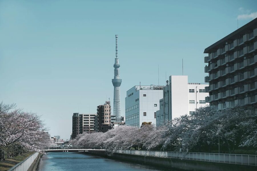 Tokyo: Private Customizable City Tour with Chauffeur - Why this private Tokyo day works better than a bus tour