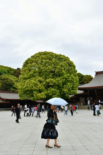 Tokyo: Private Customizable City Tour with Chauffeur - Culture blocks that feel organized, not chaotic