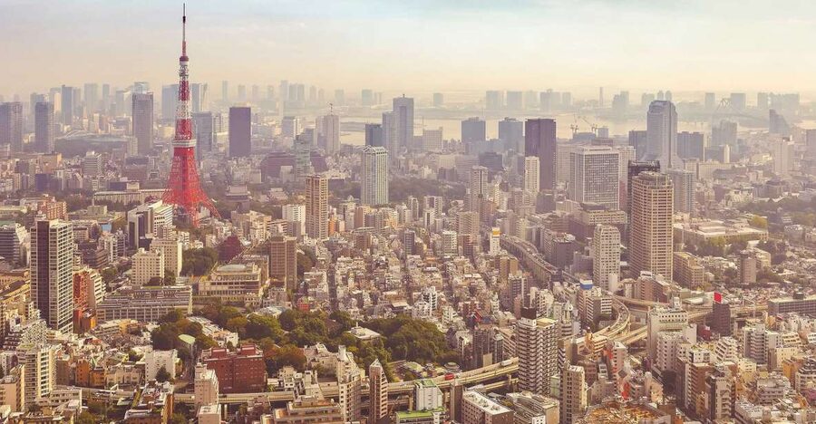 Tokyo: Private Customizable Day Tour of Tokyo - Price and value: why this can beat DIY chaos