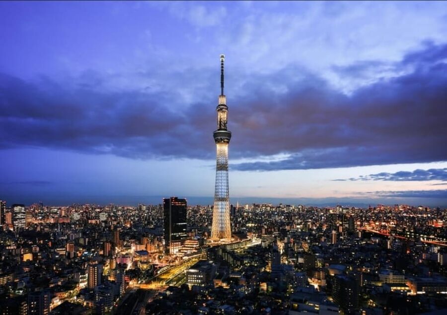 Tokyo: Private Customizable Day Tour with Chauffeur - Key things to know before you go