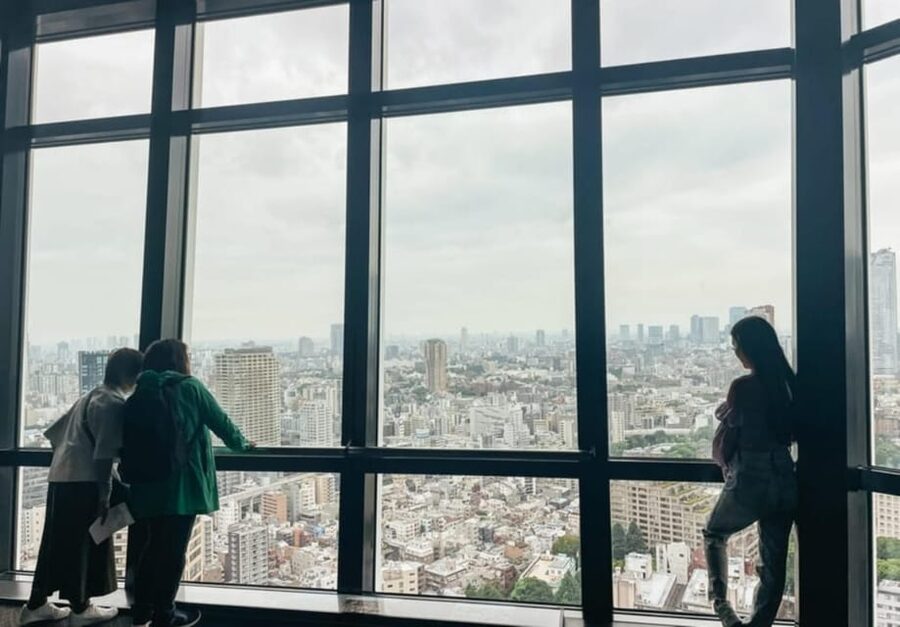 Tokyo: Private Customizable Day Tour with Chauffeur - Tsukiji Outer Market: seafood flavors and a market day on your schedule