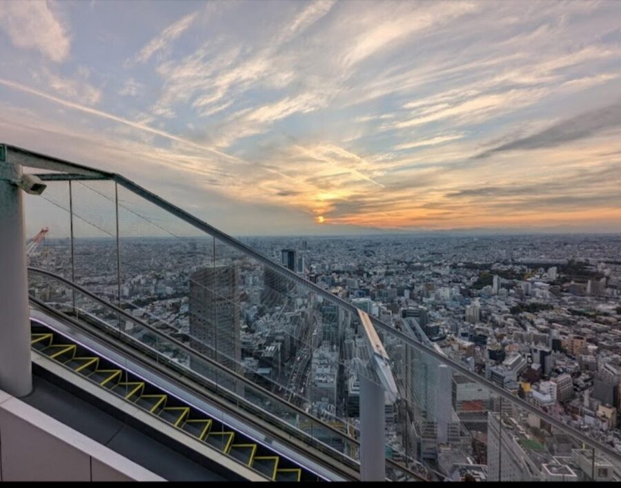 Tokyo: Private Customizable Day Tour with Chauffeur - Tokyo Tower and Tokyo Skytree: skyline views in one day