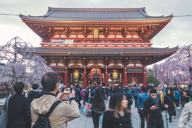 Tokyo Private Customizable Full Day Tour - Morning start: pickup, meet-up, and getting your bearings fast