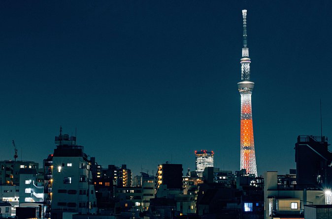 Tokyo Private Customizable Full Day Tour - Why the guide-driven planning is the real value