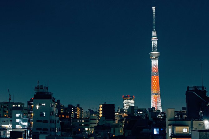 Tokyo Private Customizable Full Day Tour - Should you book this Tokyo private custom tour?