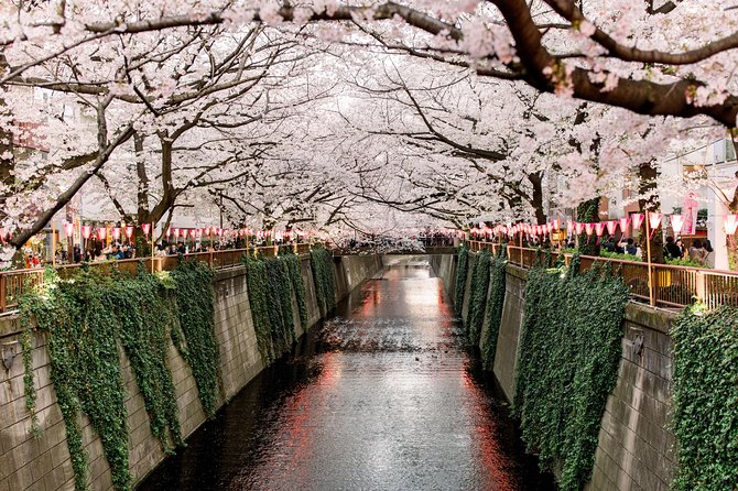 Tokyo Private Customizable Full Day Tour - Stop by stop: what each Tokyo classic is like, and what to watch for