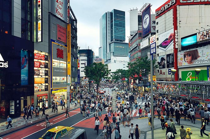 Tokyo Private Customizable Half Day Tour - How the Itinerary Becomes Real in Four Hours