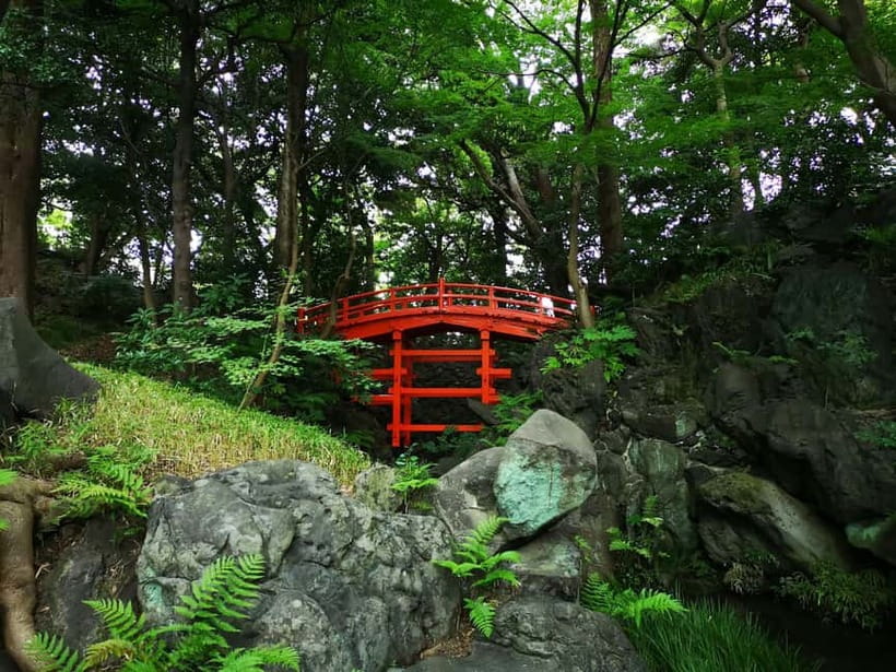 Tokyo: Private & Customizable Tour - All-in-One Experience - Price and Value, What You’re Paying For