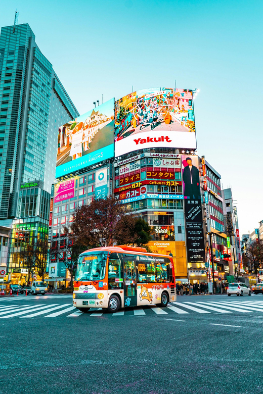 Tokyo: Private & Customizable Tour - All-in-One Experience - A Practical Tokyo Route You Can Customize