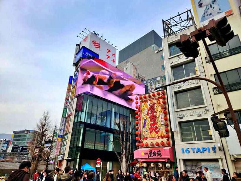 Tokyo: Private & Customizable Tour - All-in-One Experience - Food Stops That Feel Local and Practical