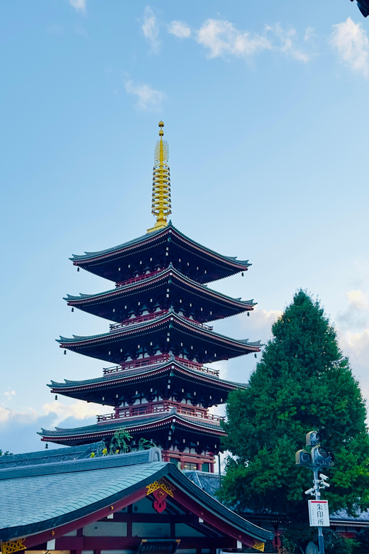 Tokyo: Private & Customizable Tour W/English Speaking Guide - Key highlights that matter on the ground