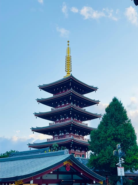 Tokyo: Private & Customizable Tour W/English Speaking Guide - How the guide style makes the day feel smoother