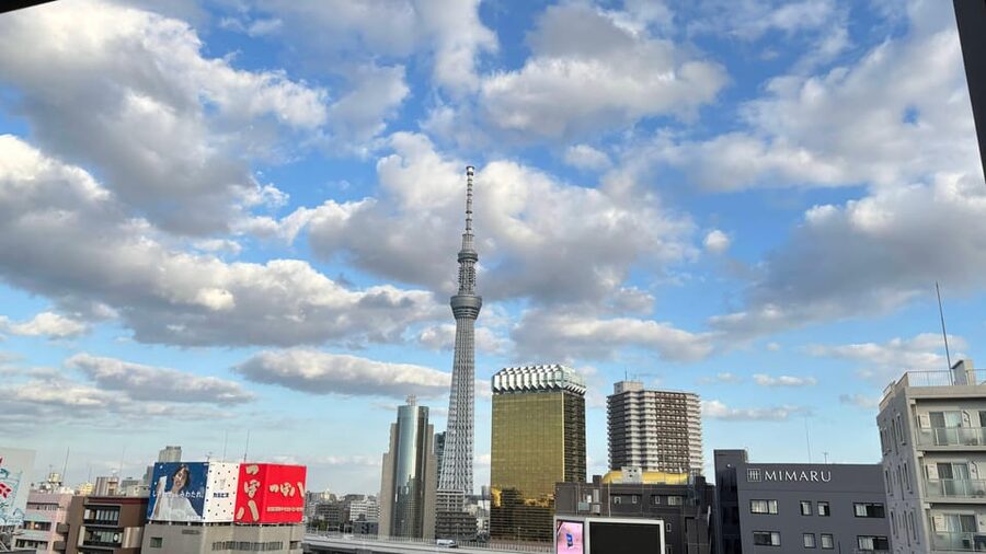 Tokyo Private Customizable Tour with a Local Guide - Key points before you go