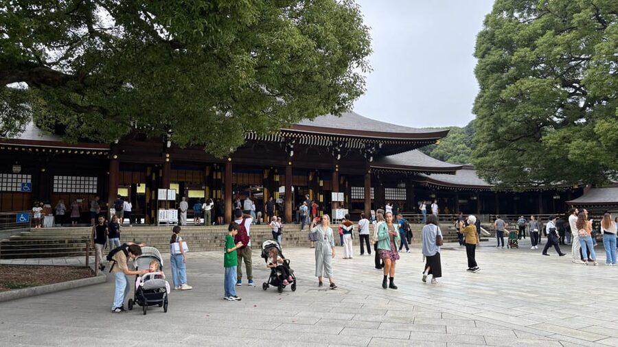 Tokyo Private Customizable Tour with a Local Guide - A private guide makes Tokyo feel readable