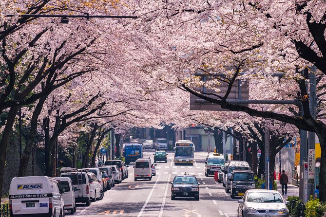Tokyo Private Customizable Tour with English Speaking Chauffeur - Customization without losing the plot