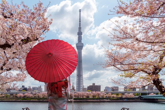 Tokyo Private Customizable Tour with English Speaking Chauffeur - Price and value: what $273.52 gets you