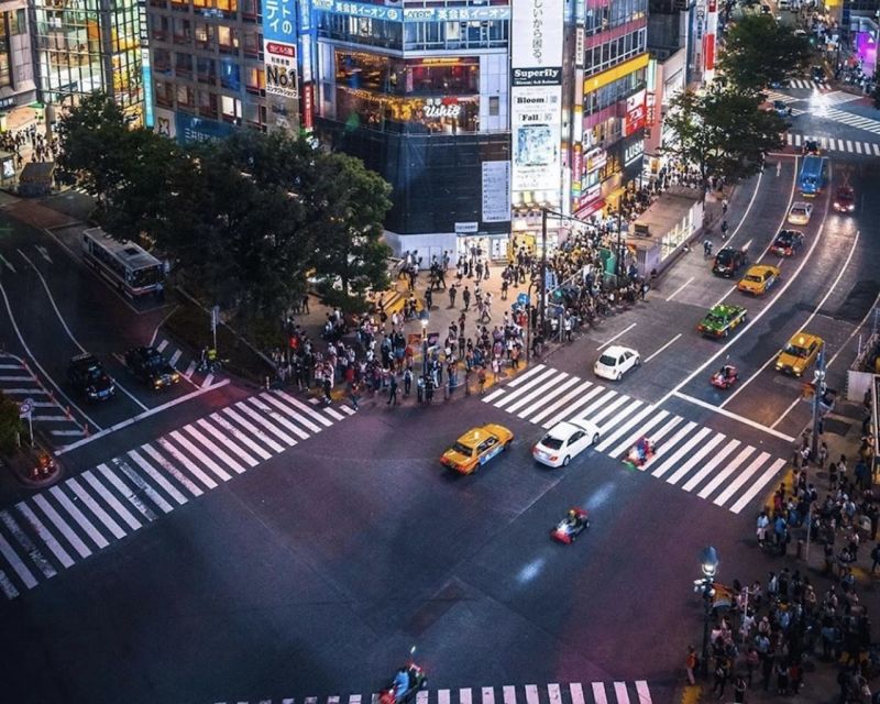 Tokyo: Private Customizable Tour with Transfer - Key points before you book