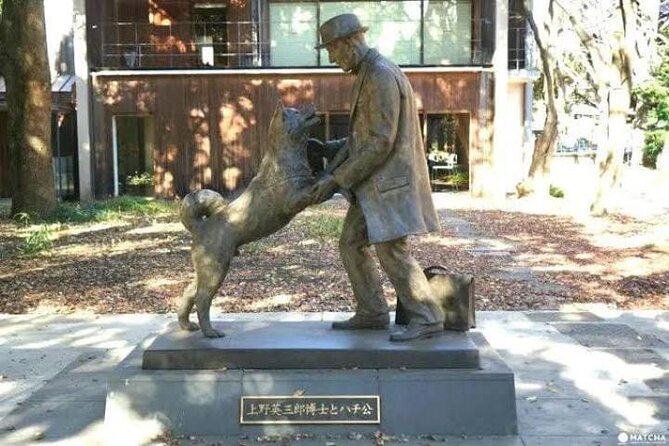 Tokyo Private Day Tour by Car with English speaking Driver Guide - Key points to know before you go