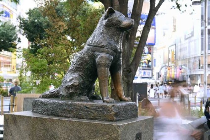 Tokyo Private Day Tour by Car with English speaking Driver Guide - Driver-guide setup: English help, and what to expect
