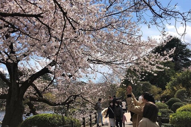 Tokyo Private Day Tour by Car with English speaking Driver Guide - Tokyo Skytree vs. Tokyo Tower: two ways to get your skyline fix