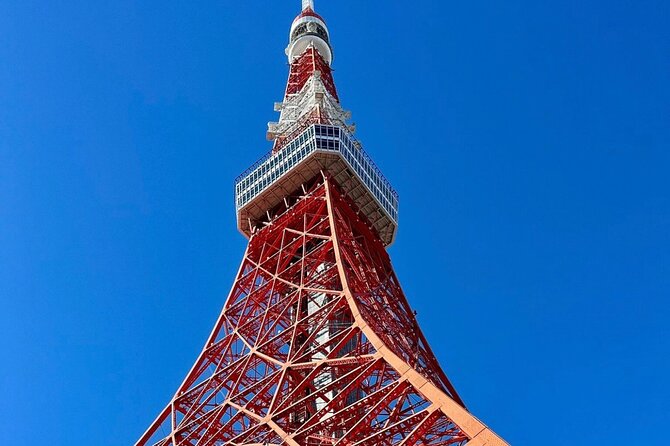 Tokyo Private Day Tour by Car with English speaking Driver Guide - Shibuya Crossing and Tsukiji: crowd energy plus food-market atmosphere
