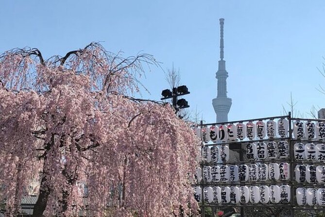 Tokyo Private Day Tour by Car with English speaking Driver Guide - How the 10-hour schedule feels in real life