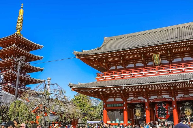 Tokyo Private Day Trip - Enjoy Your First-Time Visit to Tokyo! - Tsukiji Fish Market Area: Seafood History, Lunch, and Cash Planning