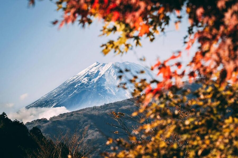 Tokyo: Private Day Trip to Mount Fuji and Hakone - Why this Fuji and Hakone day feels easier than DIY