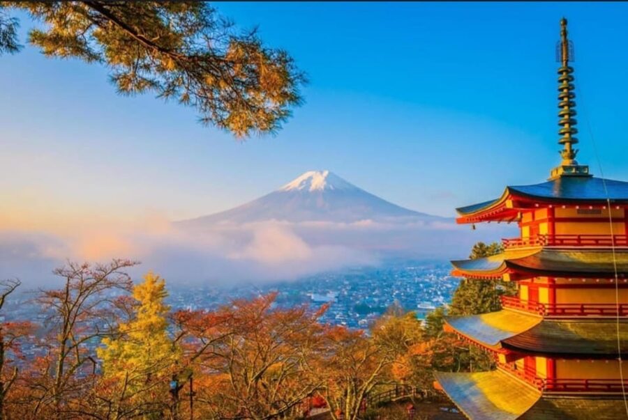 Tokyo: Private Day Trip to Mount Fuji and Hakone - Lake Kawaguchi and Oishi Park: Fuji views with room to breathe