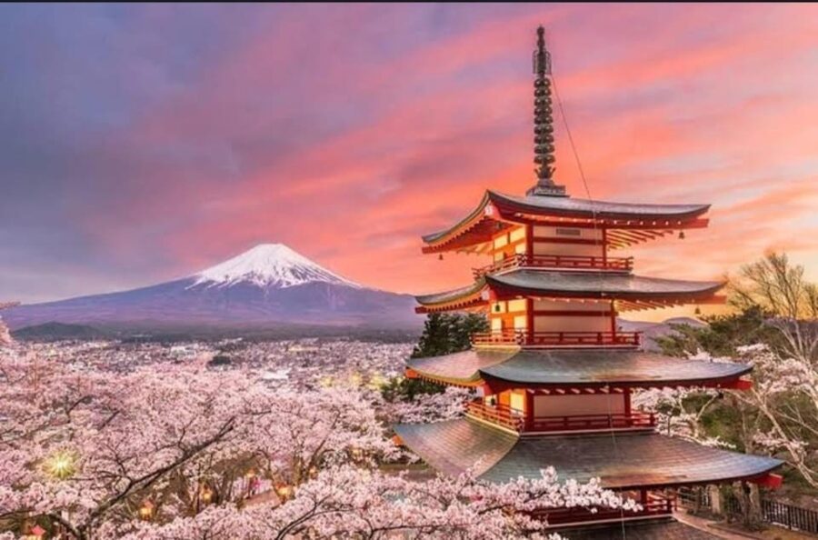 Tokyo: Private Day Trip to Mount Fuji and Hakone - Narusawa Ice Cave: a cool change of pace