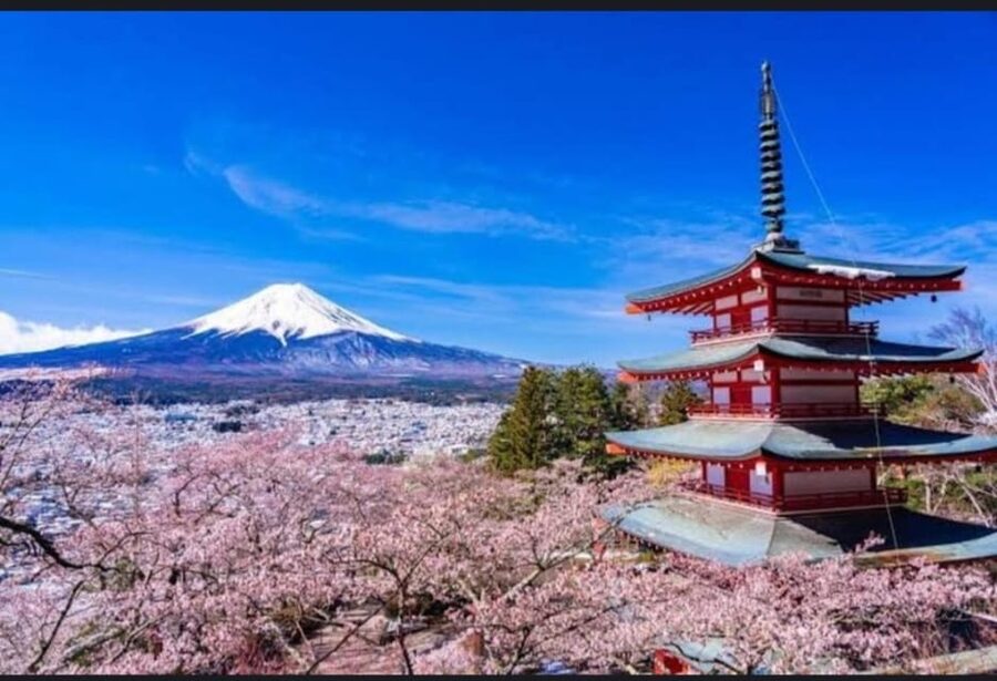 Tokyo: Private Day Trip to Mount Fuji and Hakone - Mt Fuji 5th Station: the altitude moment you came for