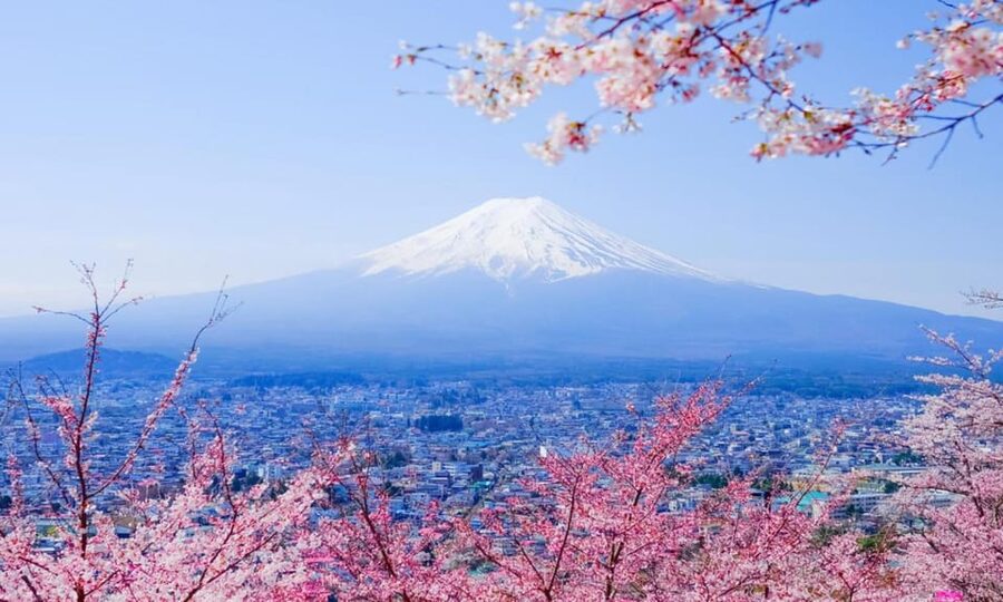 Tokyo: Private Day Trip to Mount Fuji and Hakone - Saiko Iyashi no Sato Nenba: a village demo that adds context