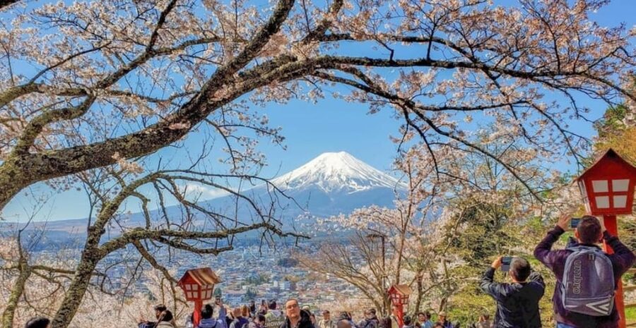 Tokyo: Private Day Trip to Mount Fuji and Hakone - Pickup and timing: what to plan for in Tokyo traffic