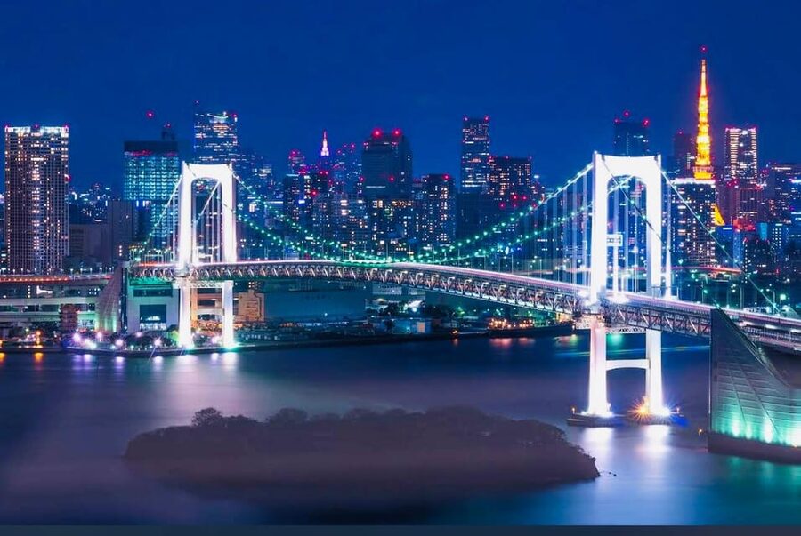 Tokyo Private Day Trip With English Speaking Driver - Key moments that make this Tokyo day trip work