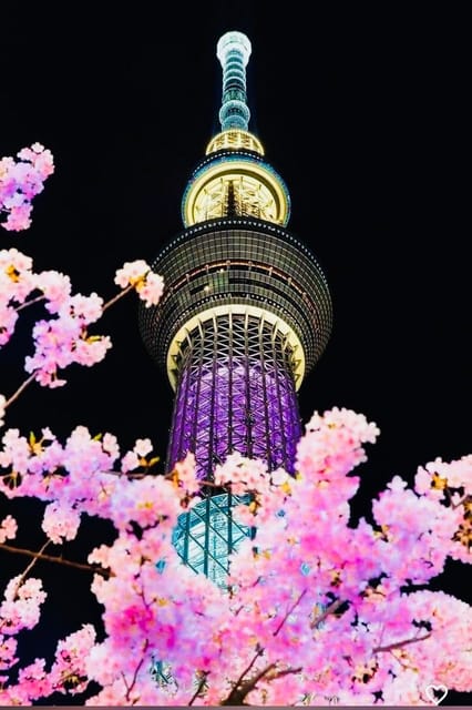 Tokyo Private Day Trip With English Speaking Driver - Shibuya Crossing to Meiji Shrine, the old-and-new Tokyo mix
